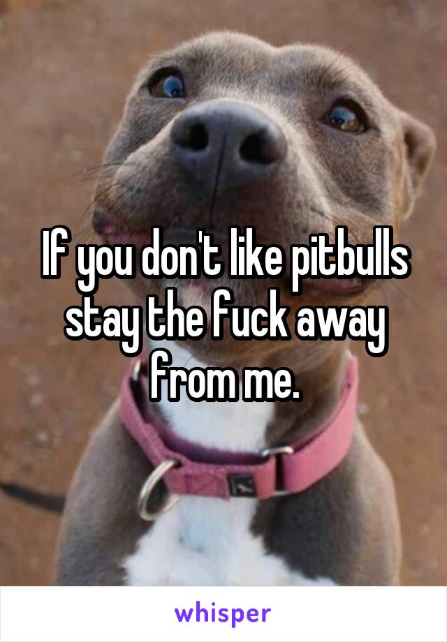 If you don't like pitbulls stay the fuck away from me.