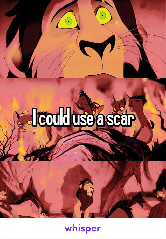 I could use a scar