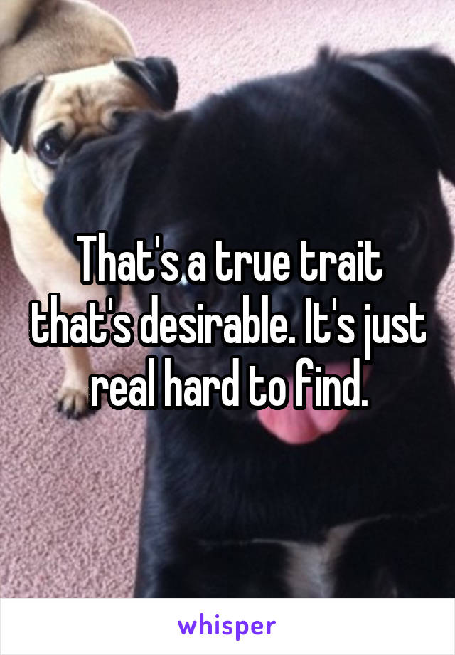 That's a true trait that's desirable. It's just real hard to find.