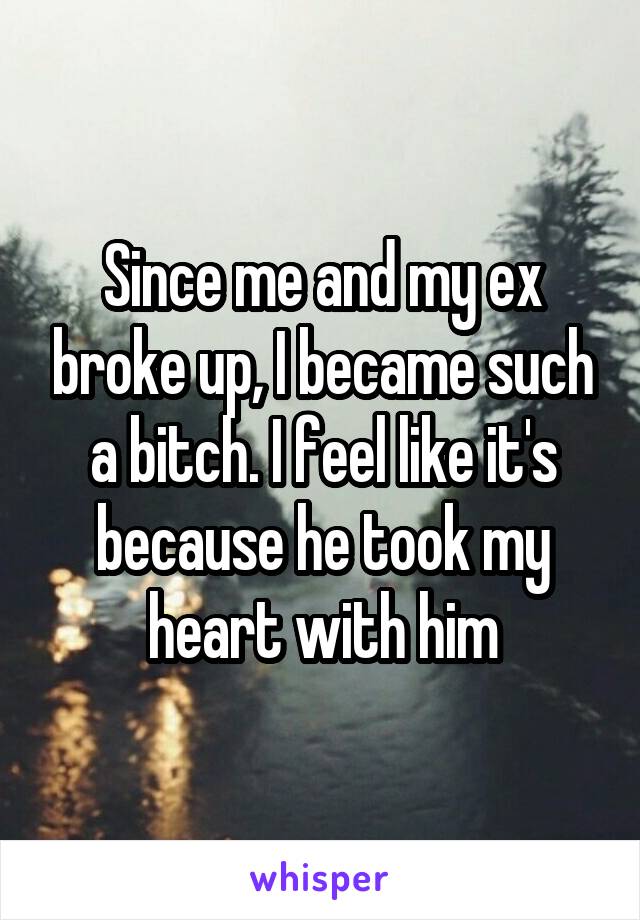 Since me and my ex broke up, I became such a bitch. I feel like it's because he took my heart with him