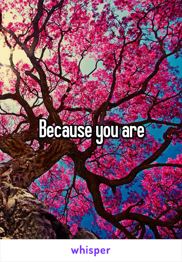 Because you are