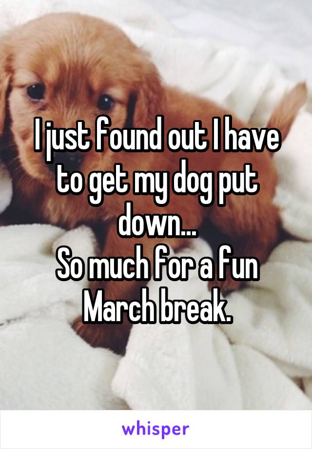 I just found out I have to get my dog put down...
So much for a fun March break.