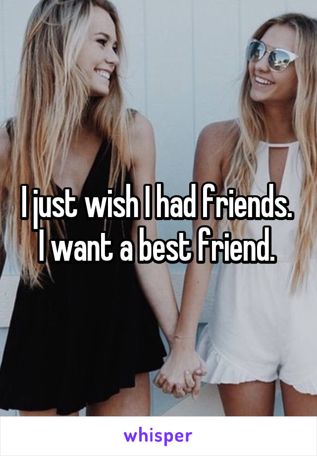 I just wish I had friends. 
I want a best friend. 