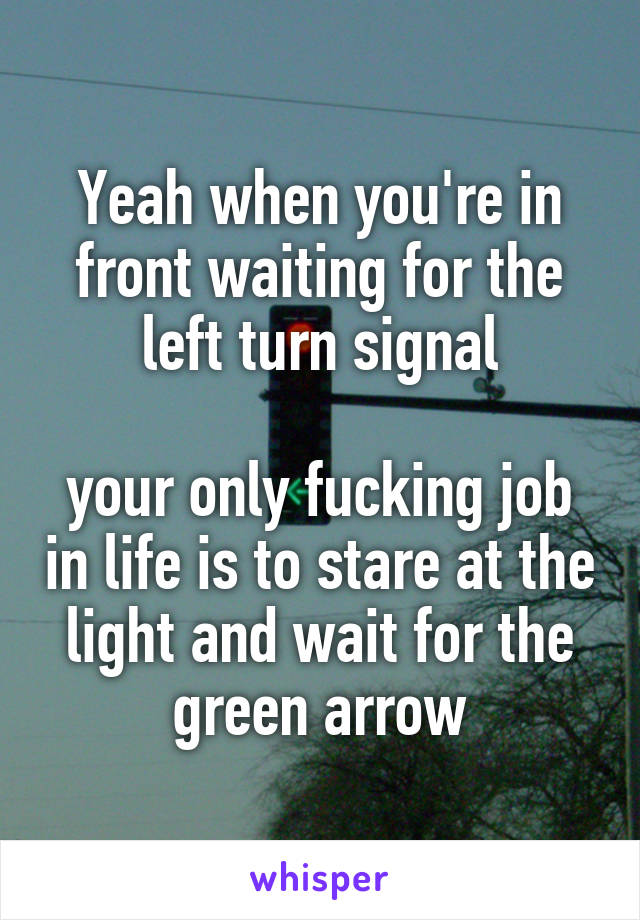 Yeah when you're in front waiting for the left turn signal

your only fucking job in life is to stare at the light and wait for the green arrow