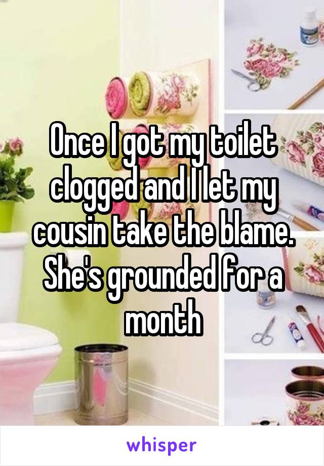 Once I got my toilet clogged and I let my cousin take the blame. She's grounded for a month