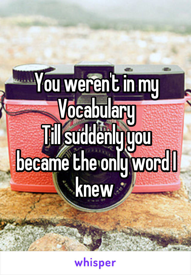 You weren't in my
Vocabulary
Till suddenly you became the only word I knew 