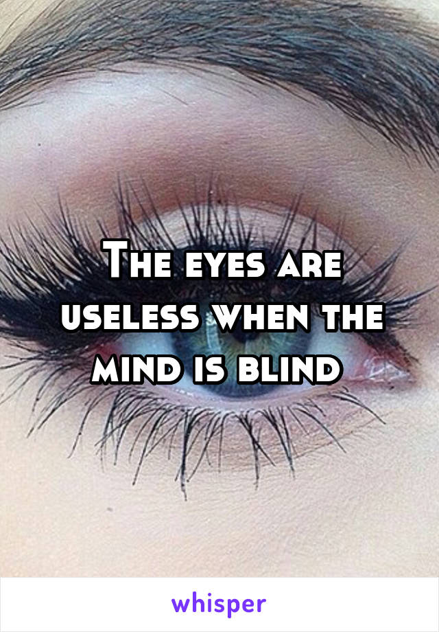 The eyes are useless when the mind is blind 