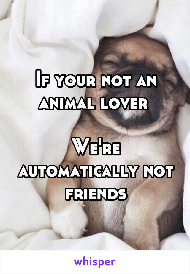 If your not an animal lover 

We're automatically not friends