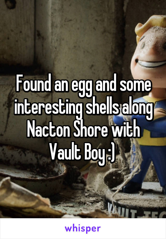 Found an egg and some interesting shells along Nacton Shore with Vault Boy :) 