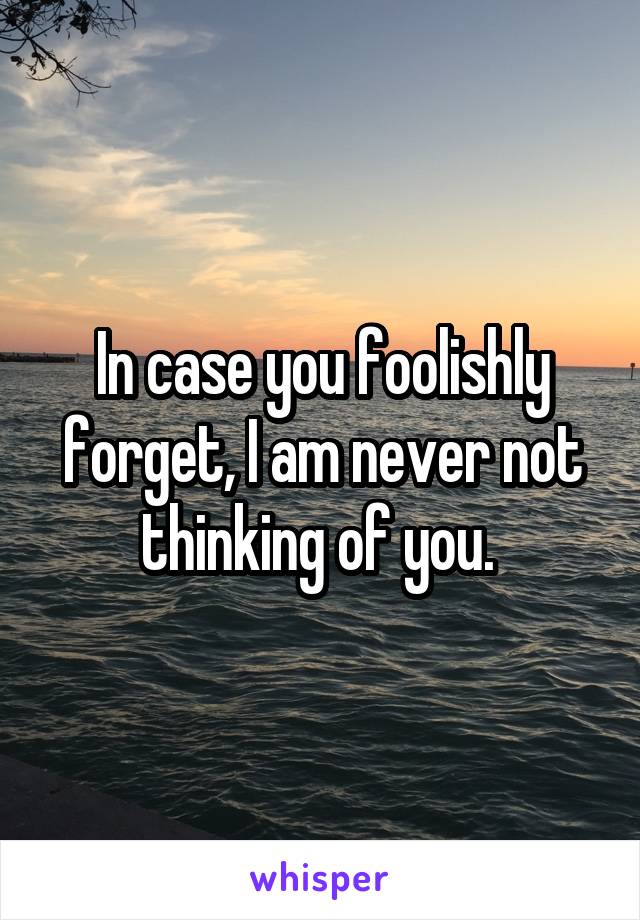 In case you foolishly forget, I am never not thinking of you. 