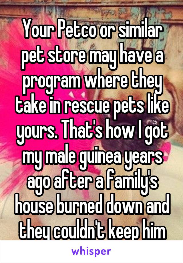 Your Petco or similar pet store may have a program where they take in rescue pets like yours. That's how I got my male guinea years ago after a family's house burned down and they couldn't keep him