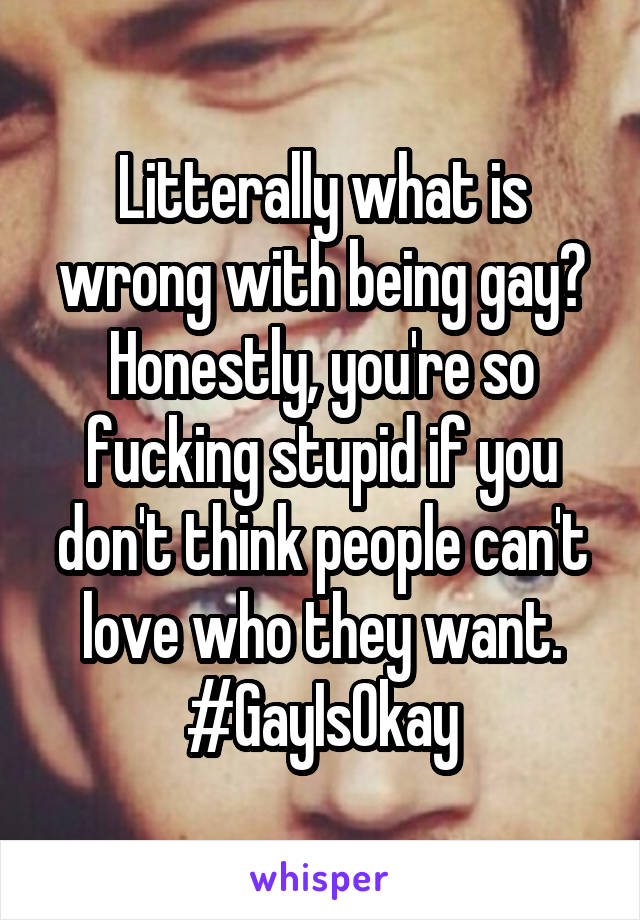 Litterally what is wrong with being gay? Honestly, you're so fucking stupid if you don't think people can't love who they want. #GayIsOkay