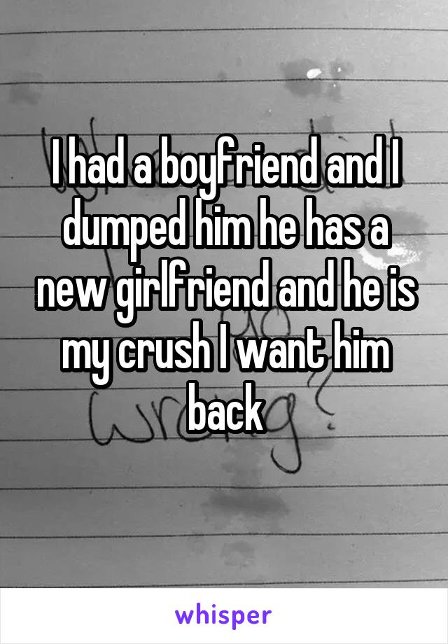 I had a boyfriend and I dumped him he has a new girlfriend and he is my crush I want him back
