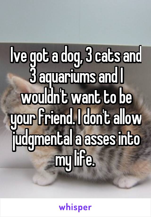 Ive got a dog, 3 cats and 3 aquariums and I wouldn't want to be your friend. I don't allow judgmental a asses into my life. 