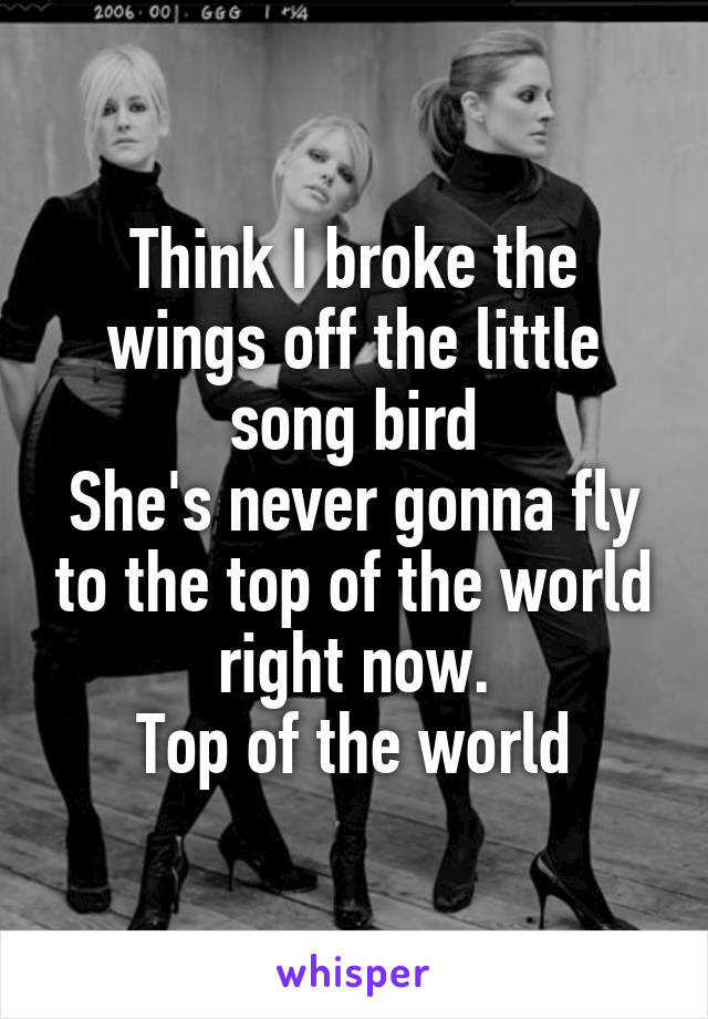 Think I broke the wings off the little song bird
She's never gonna fly to the top of the world right now.
Top of the world