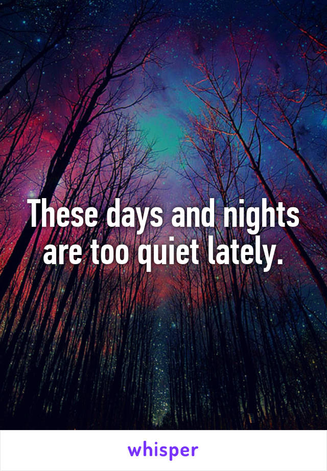 These days and nights are too quiet lately.