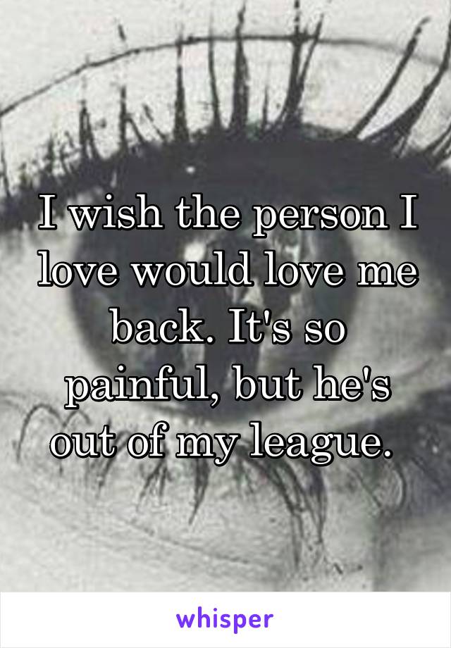 I wish the person I love would love me back. It's so painful, but he's out of my league. 