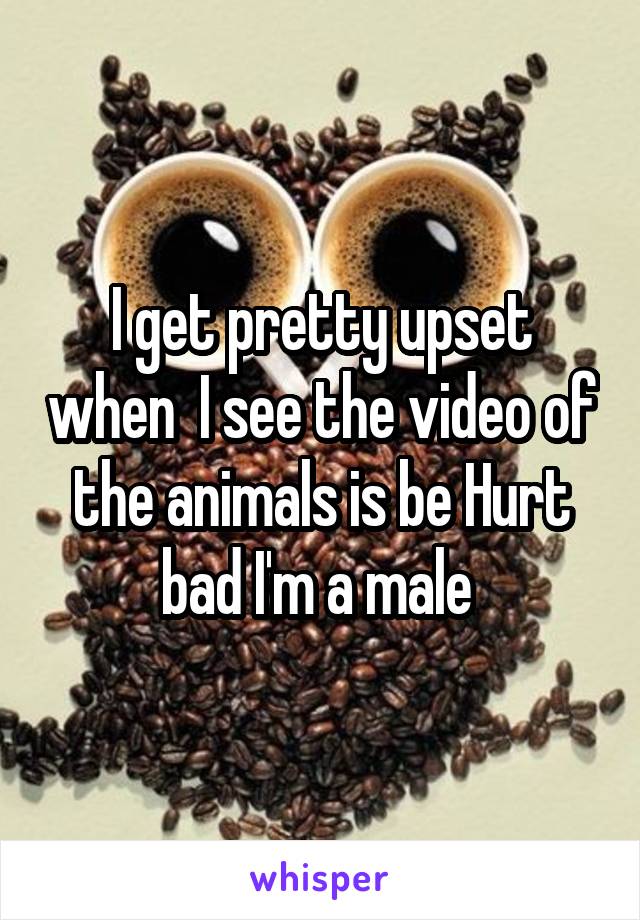 I get pretty upset when  I see the video of the animals is be Hurt bad I'm a male 