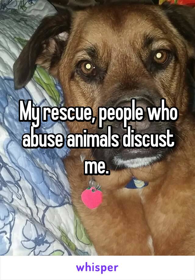 My rescue, people who abuse animals discust me. 