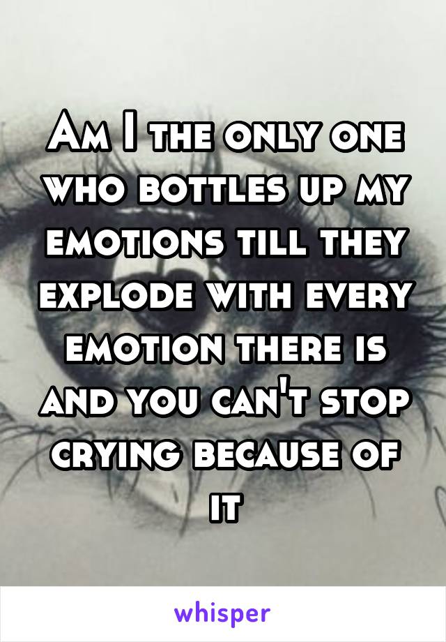 Am I the only one who bottles up my emotions till they explode with every emotion there is and you can't stop crying because of it