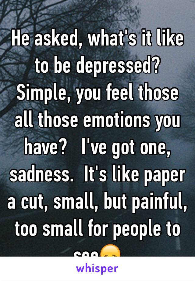 He asked, what's it like to be depressed?   Simple, you feel those all those emotions you have?   I've got one, sadness.  It's like paper a cut, small, but painful, too small for people to see😞