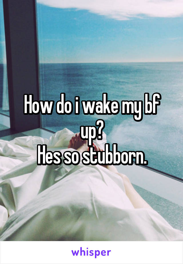 How do i wake my bf up?
Hes so stubborn.