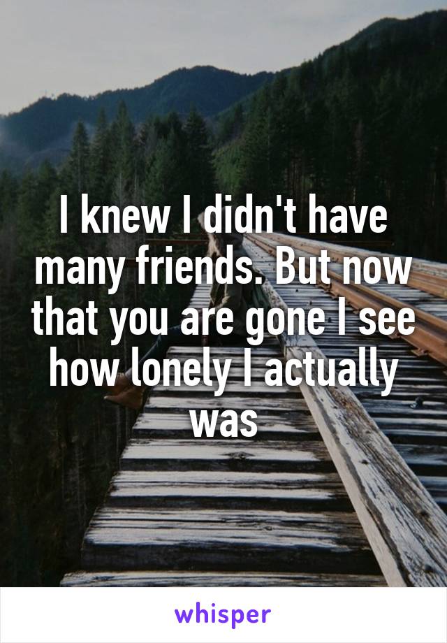 I knew I didn't have many friends. But now that you are gone I see how lonely I actually was