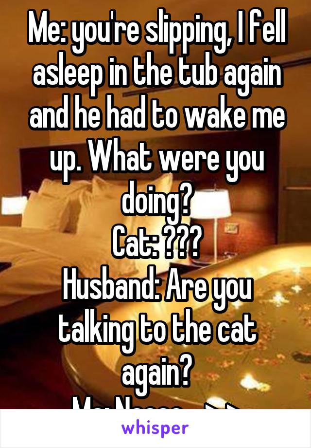 Me: you're slipping, I fell asleep in the tub again and he had to wake me up. What were you doing?
Cat: ???
Husband: Are you talking to the cat again?
Me: Noooo... >.>