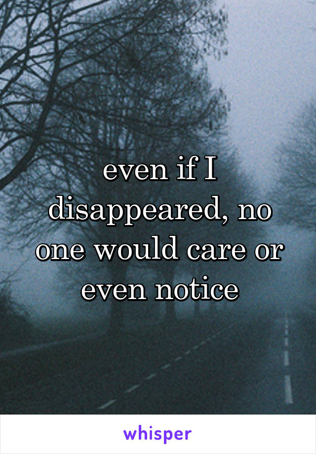 even if I disappeared, no one would care or even notice