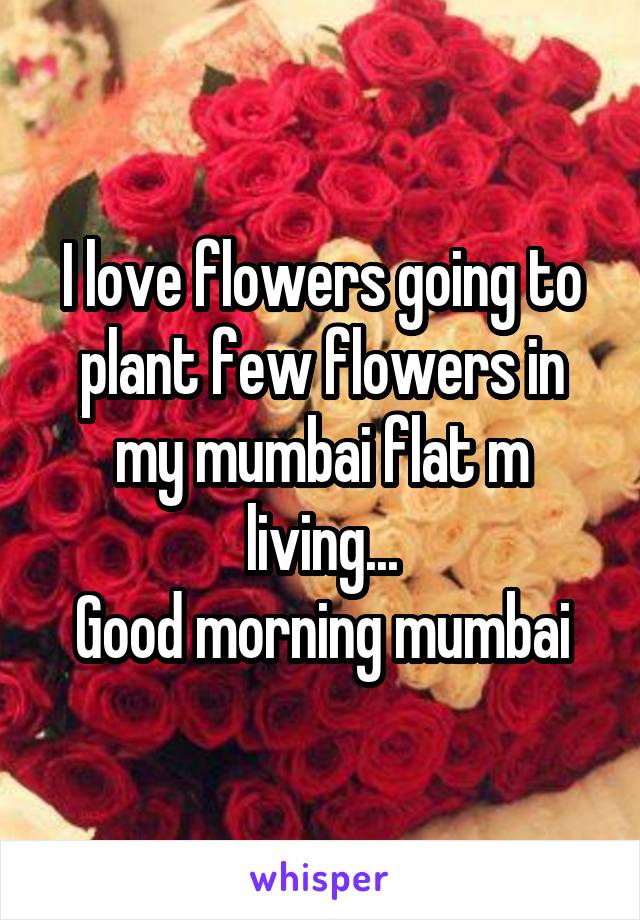 I love flowers going to plant few flowers in my mumbai flat m living...
Good morning mumbai