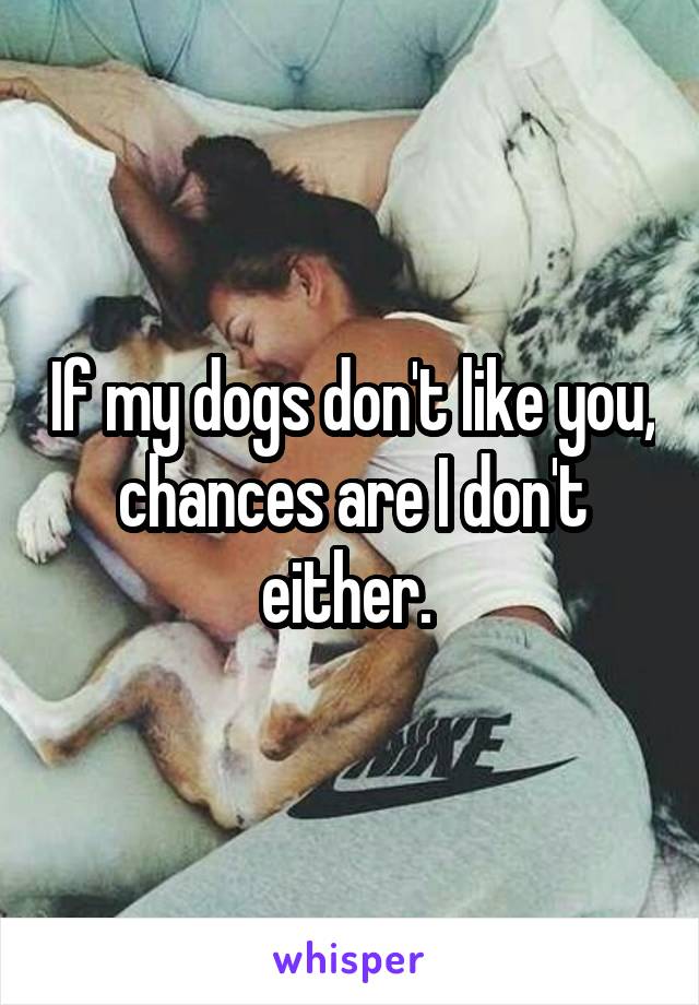 If my dogs don't like you, chances are I don't either. 