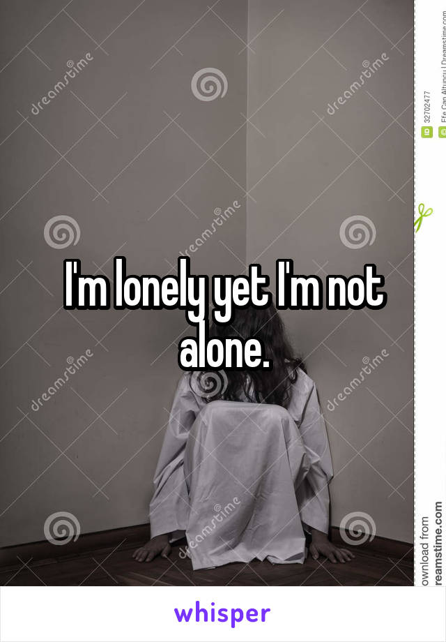 I'm lonely yet I'm not alone.