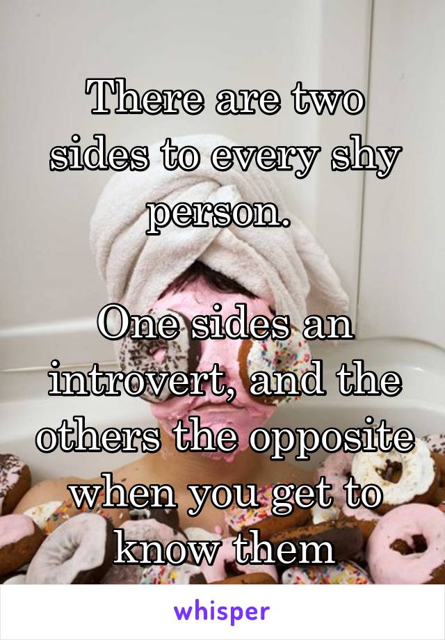 There are two sides to every shy person. 

One sides an introvert, and the others the opposite when you get to know them