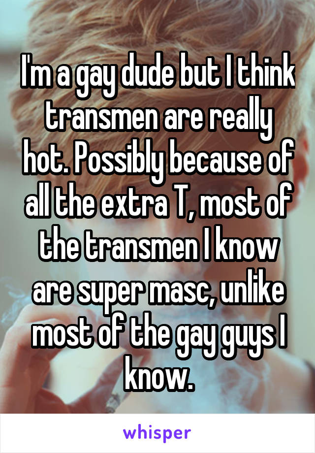 I'm a gay dude but I think transmen are really hot. Possibly because of all the extra T, most of the transmen I know are super masc, unlike most of the gay guys I know.