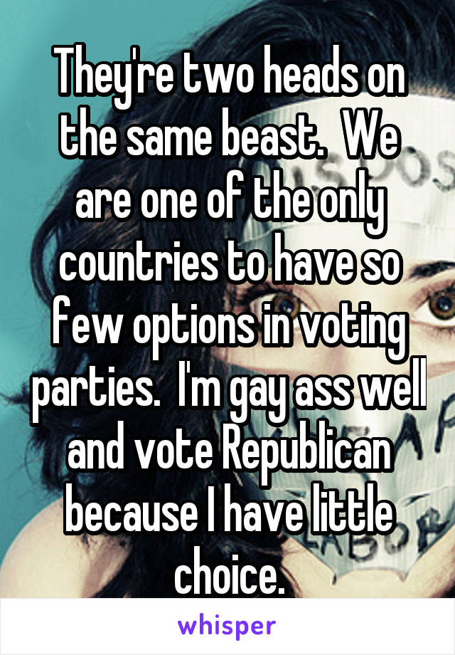 They're two heads on the same beast.  We are one of the only countries to have so few options in voting parties.  I'm gay ass well and vote Republican because I have little choice.