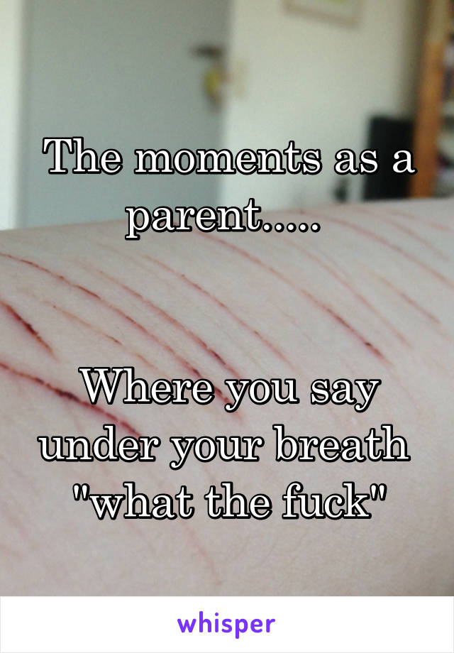 The moments as a parent..... 


Where you say under your breath 
"what the fuck"