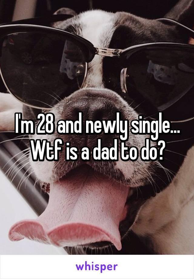 I'm 28 and newly single... Wtf is a dad to do?