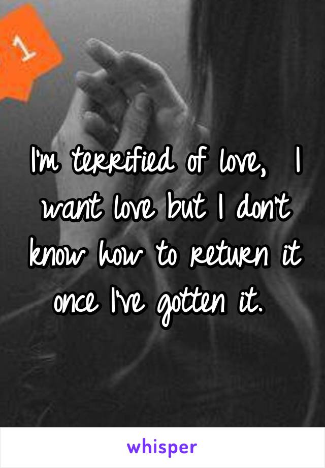 I'm terrified of love,  I want love but I don't know how to return it once I've gotten it. 