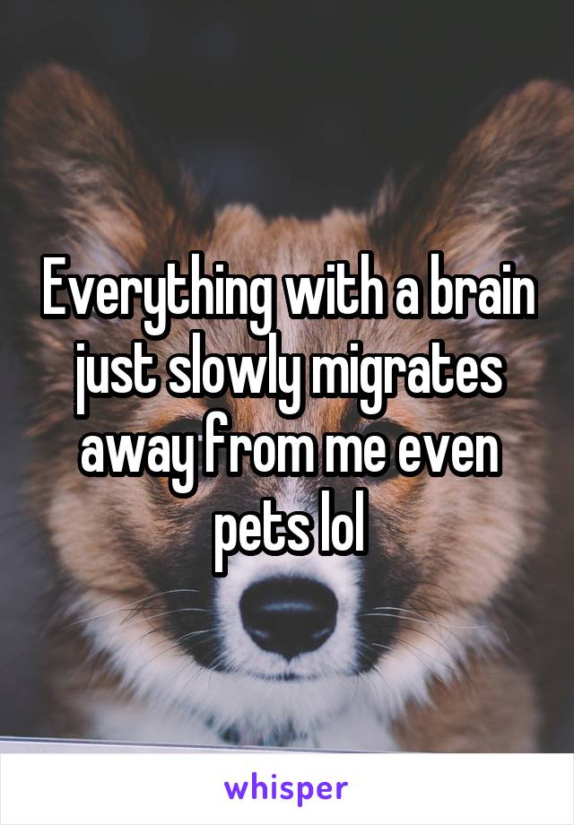 Everything with a brain just slowly migrates away from me even pets lol