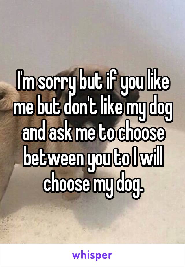 I'm sorry but if you like me but don't like my dog and ask me to choose between you to I will choose my dog.