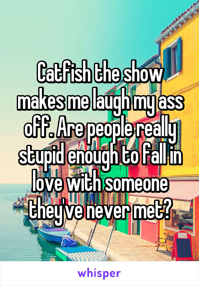 Catfish the show makes me laugh my ass off. Are people really stupid enough to fall in love with someone they've never met?