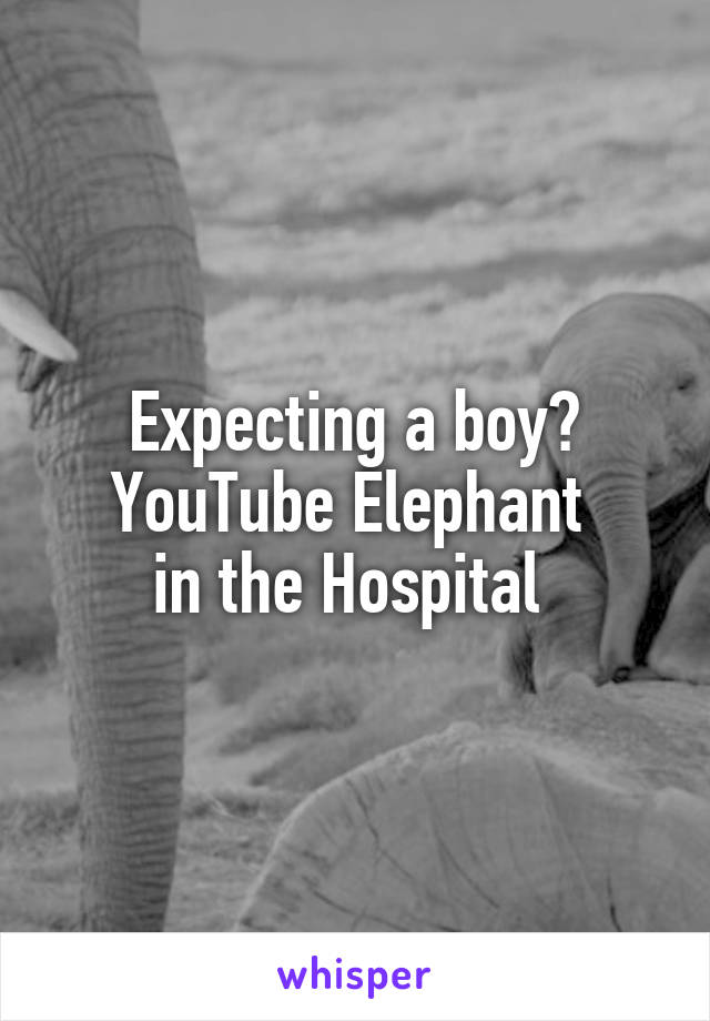 Expecting a boy?
YouTube Elephant 
in the Hospital 