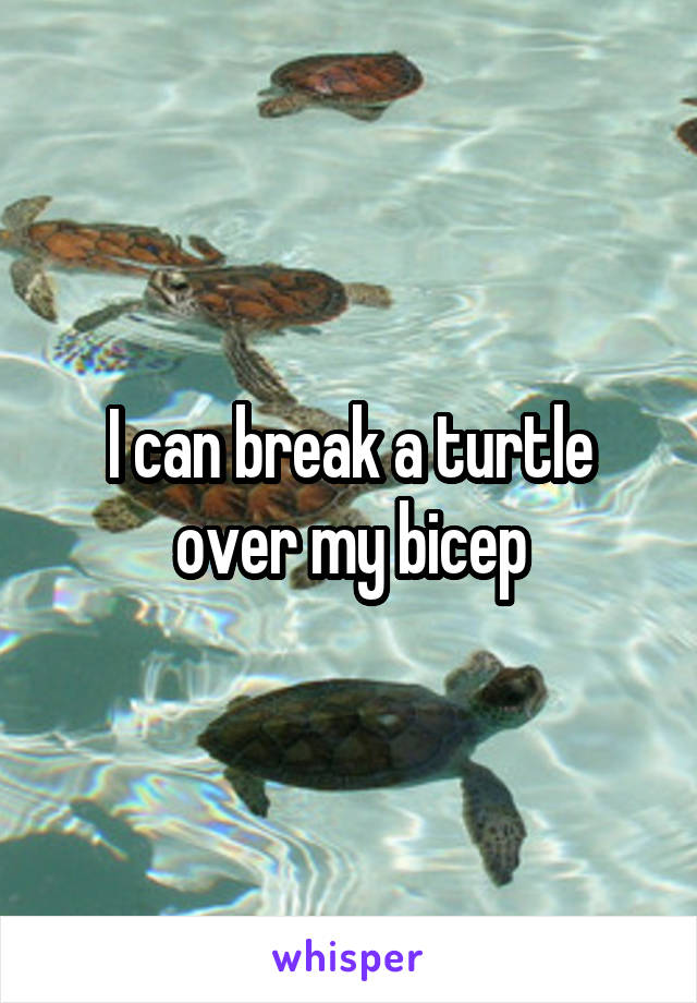 I can break a turtle over my bicep