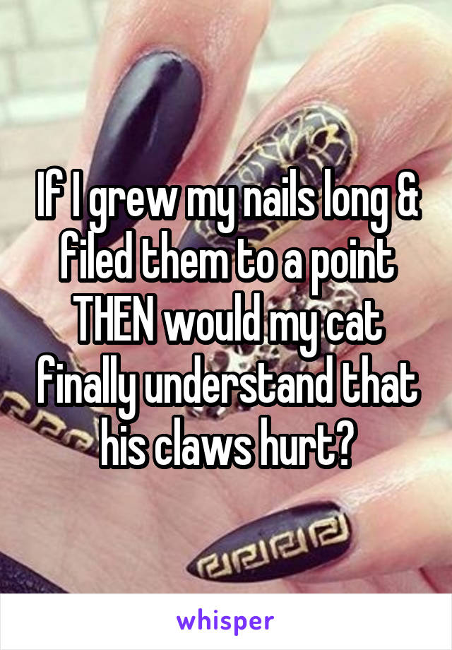 If I grew my nails long & filed them to a point THEN would my cat finally understand that his claws hurt?