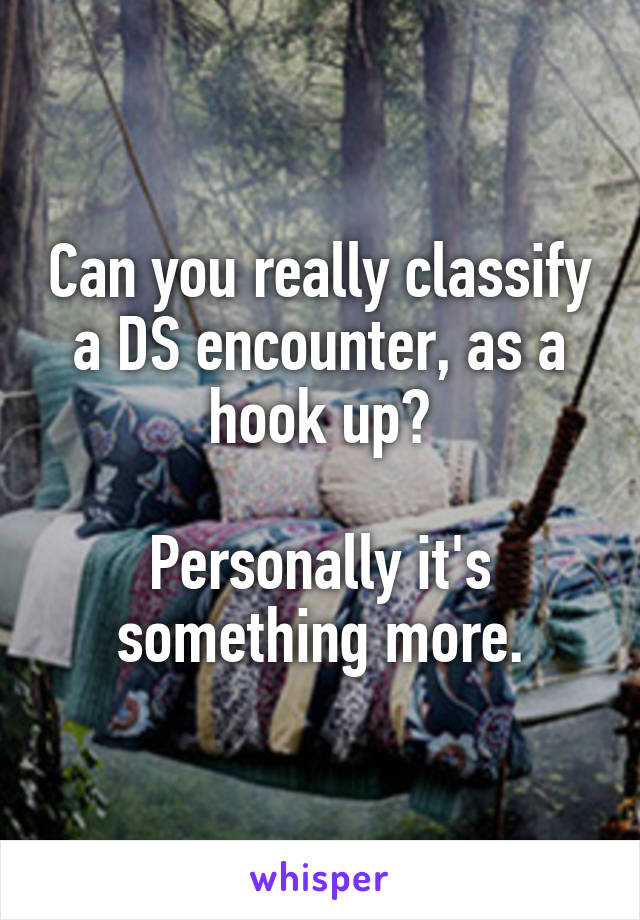 Can you really classify a DS encounter, as a hook up?

Personally it's something more.