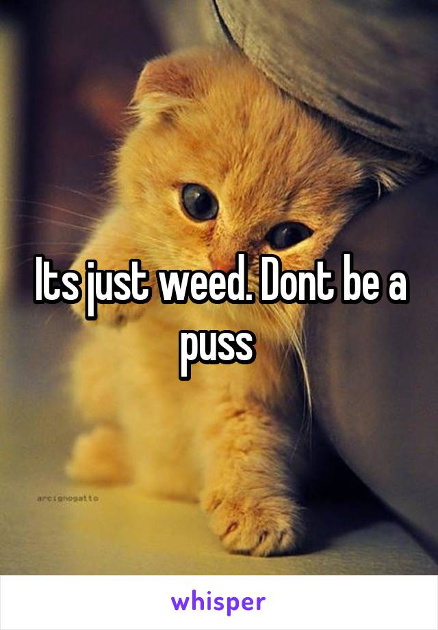 Its just weed. Dont be a puss 