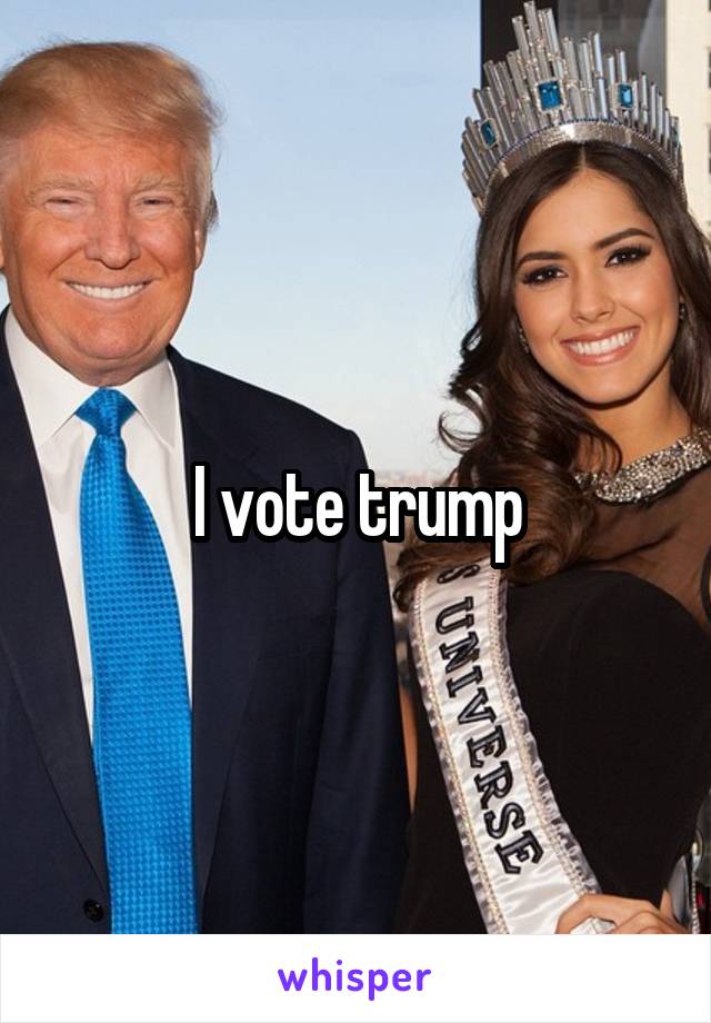 I vote trump