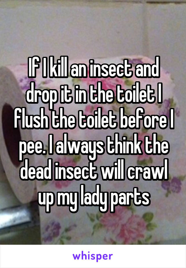 If I kill an insect and drop it in the toilet I flush the toilet before I pee. I always think the dead insect will crawl up my lady parts