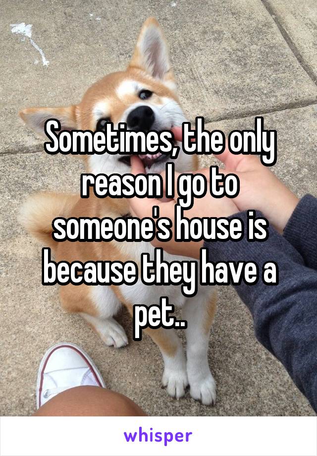 Sometimes, the only reason I go to someone's house is because they have a pet..