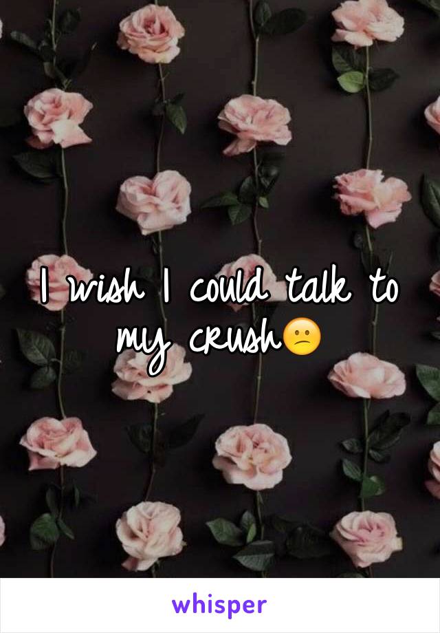 I wish I could talk to my crush😕